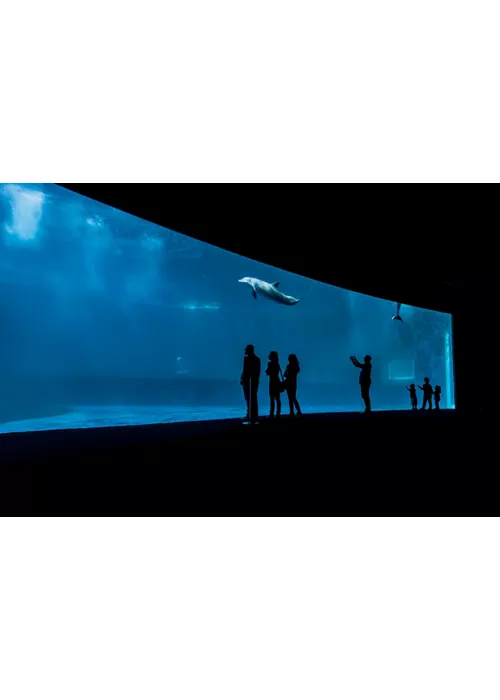 Aquários de Itália, todo o mar num tanque