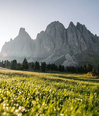 South Tyrol: Protecting the Natural Heritage of Parks
