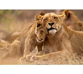 Natur und Tiere, biologische Artenvielfalt auf der Bühne der Wildparks
