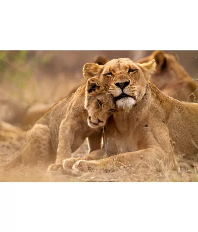 Natur und Tiere, biologische Artenvielfalt auf der Bühne der Wildparks
