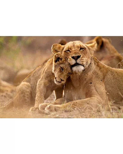 Parco Faunistico Le Cornelle (Wildpark)