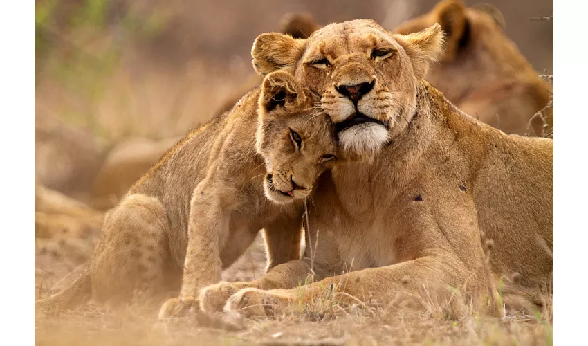Parco Faunistico Le Cornelle (Wildpark)