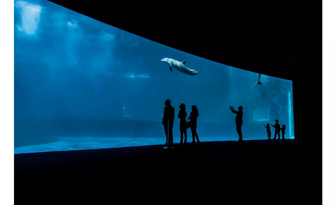 Aquarium of Genoa