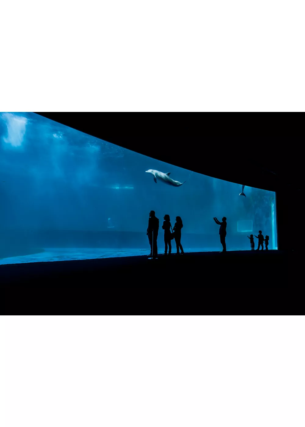 Acuario de Génova