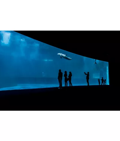 Acuario de Génova