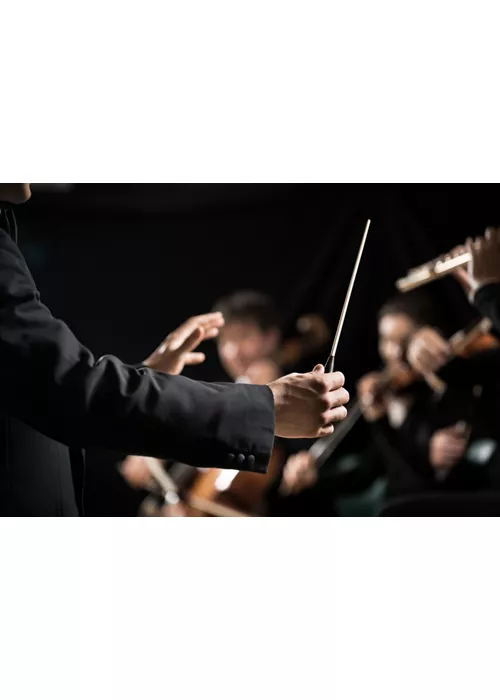Música Maestro. Os festivais de ópera dedicados aos grandes compositores italianos