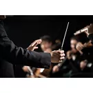 Musica Maestro. I festival lirici dedicati ai grandi compositori italiani