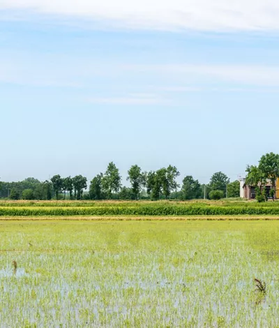 The Ticino Park: rice paddies and nature reserves