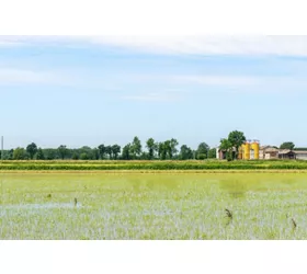 En el Parque del Ticino, entre arrozales y reservas naturales