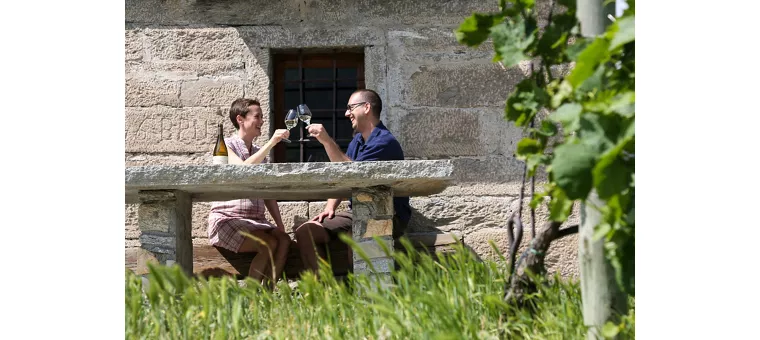 Viajar con mucho gusto, por las rutas y la cultura del vino