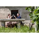 Férias de sabor na cultura do vinho