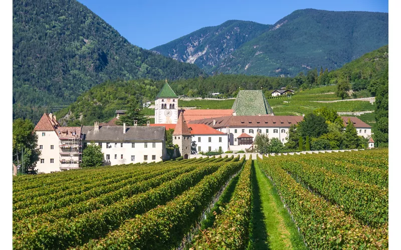 South Tyrol: The Bressanone vineyards Trail