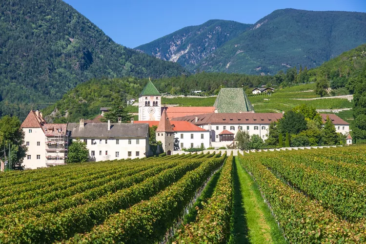 South Tyrol: The Bressanone vineyards Trail