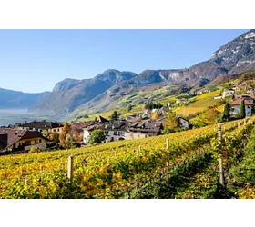 South Tyrol wine tourism: the Wine Route