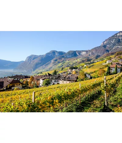 South Tyrol wine tourism: the Wine Route