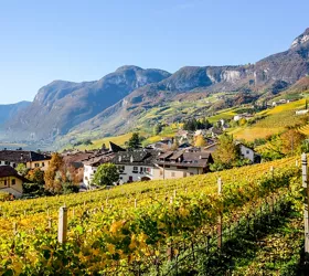 South Tyrol wine tourism: the Wine Route
