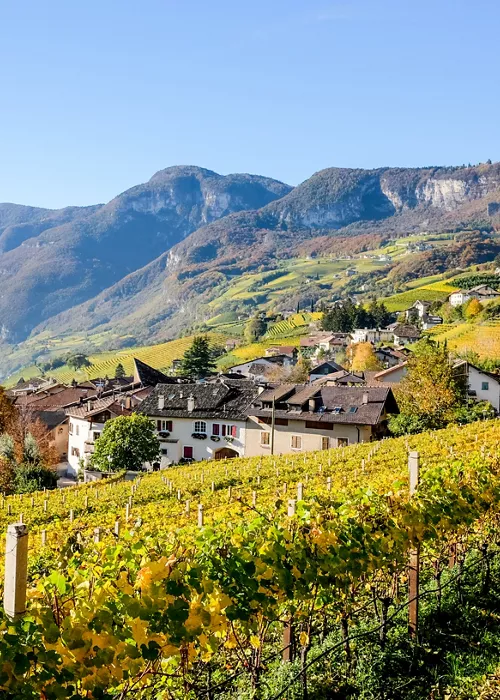 South Tyrol wine tourism: the Wine Route