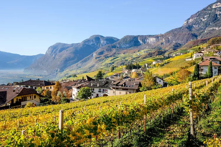 South Tyrol: The Wine Route