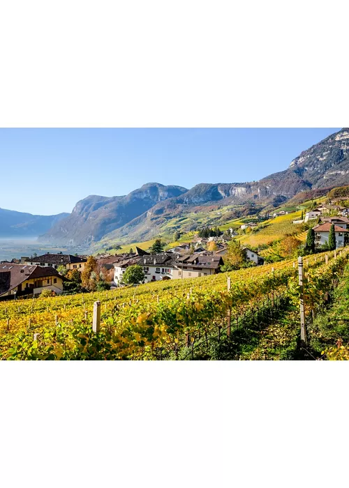 Haut-Adige, tourisme œnogastronomique : la Route des vins