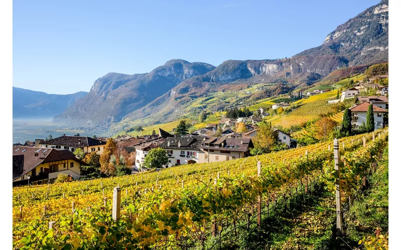 Alto Adige: la Strada del Vino