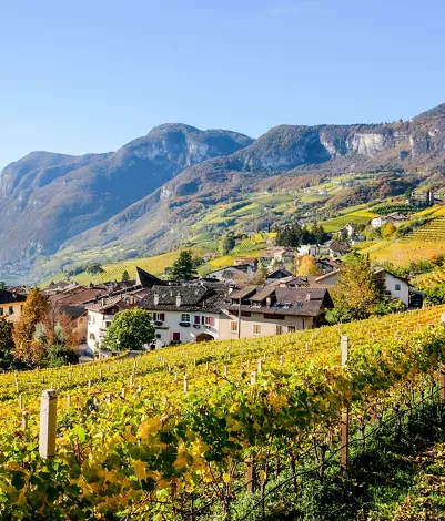 Alto Adige, turismo enogastronomico: la Strada del Vino
