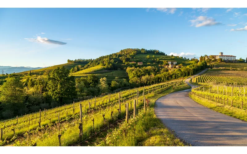 Friuli Venezia Giulia: La strada del vino e dei sapori