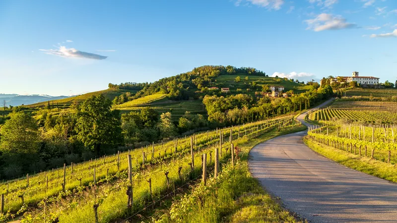 Friuli Venezia Giulia: La strada del vino e dei sapori