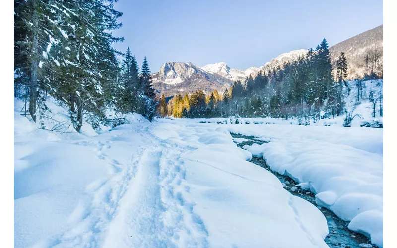 Ski Area Forni di Sopra: toda la belleza de los Dolomitas Friulanos