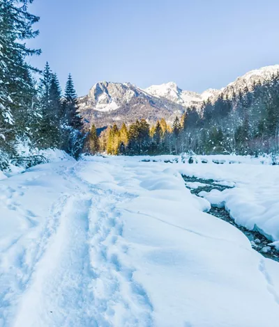 Área de esquí Forni di Sopra: relax, diversión y deporte en los Dolomitas friulanos