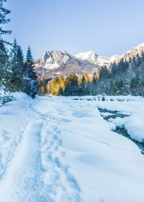 Skiarea Forni di Sopra: relax, divertimento e sport sulle Dolomiti friulane