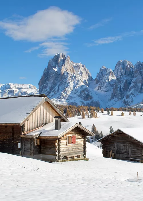 Winter holidays in South Tyrol