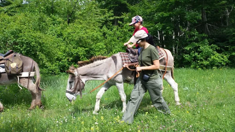 Animals and nature: Trekking with Mules