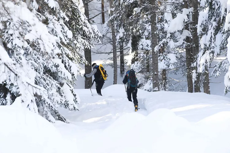 Snowshoeing in Cortina: when snow is slow