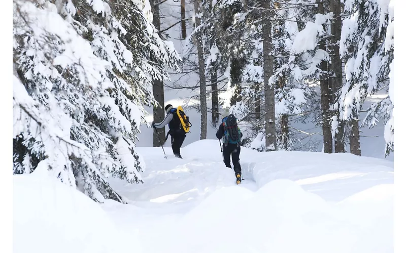 Caminhar com raquetes de neve em Cortina, quando a neve é lenta