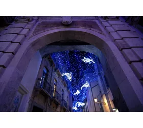 Christmas: exciting illuminations