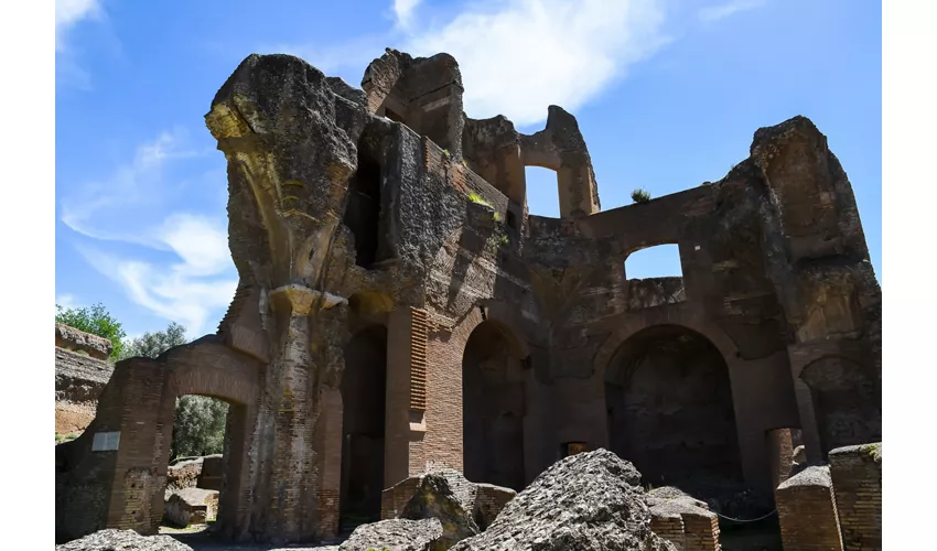 Greek library and Latin library