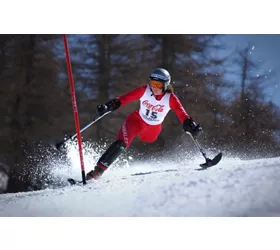 Photo by: MikeDotta / Shutterstock.com