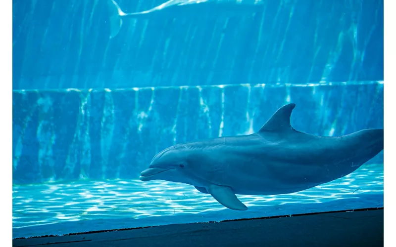 Acquario di Cattolica, Emilia Romagna