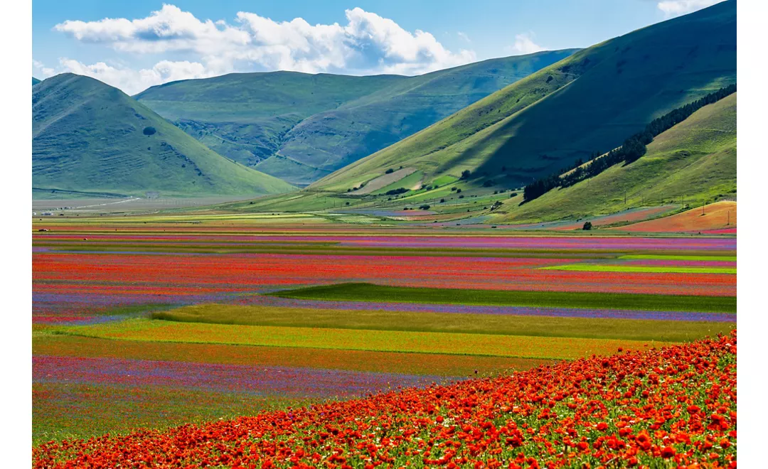 Floración en Italia: destinos donde ir 