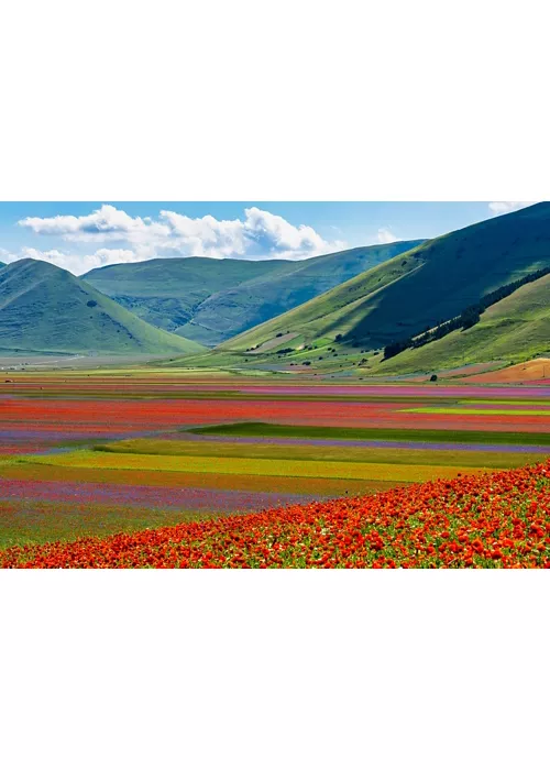 Floraciones en Italia: una paleta de colores