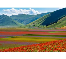 Fioriture in Italia: una tavolozza di colori