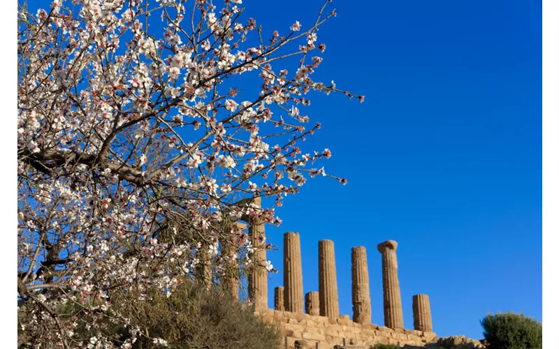 La Valle dei Templi - Agrigento, Sicilia