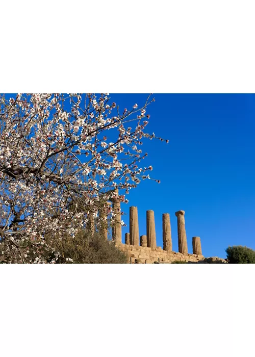 La Valle dei Templi - Agrigento, Sicilia