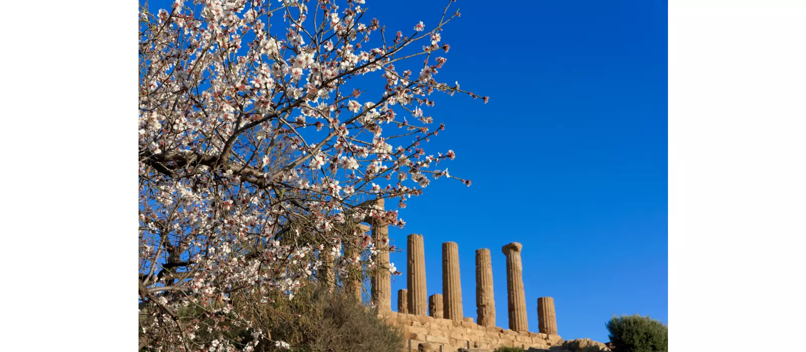 La Valle dei Templi - Agrigento, Sicilia