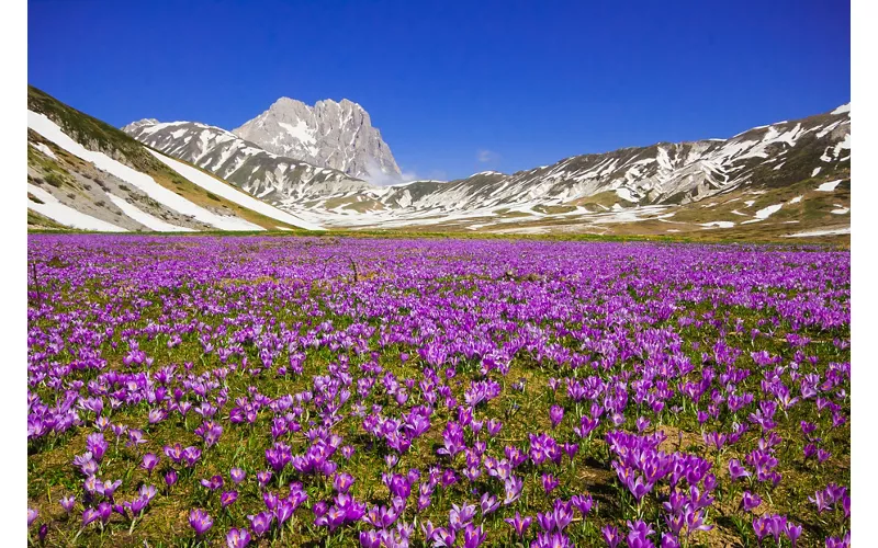 Campo Imperatore turns from white to violet