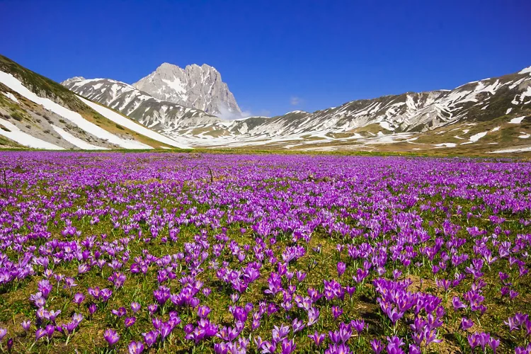 Campo Imperatore: from white to purple