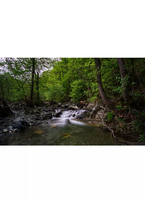 Canyoning-Liguria