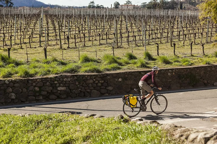 Franciacorta Brut - A Green Route