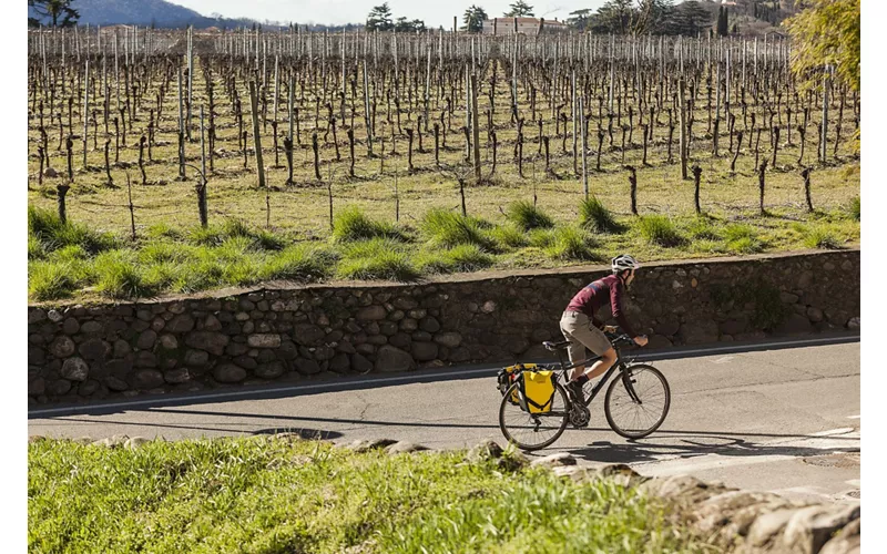 Les bulles de la Franciacorta