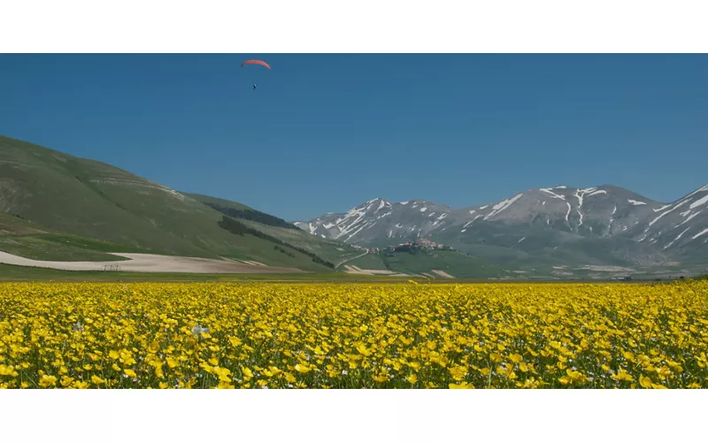 Ombrie, printemps à Castelluccio di Norcia